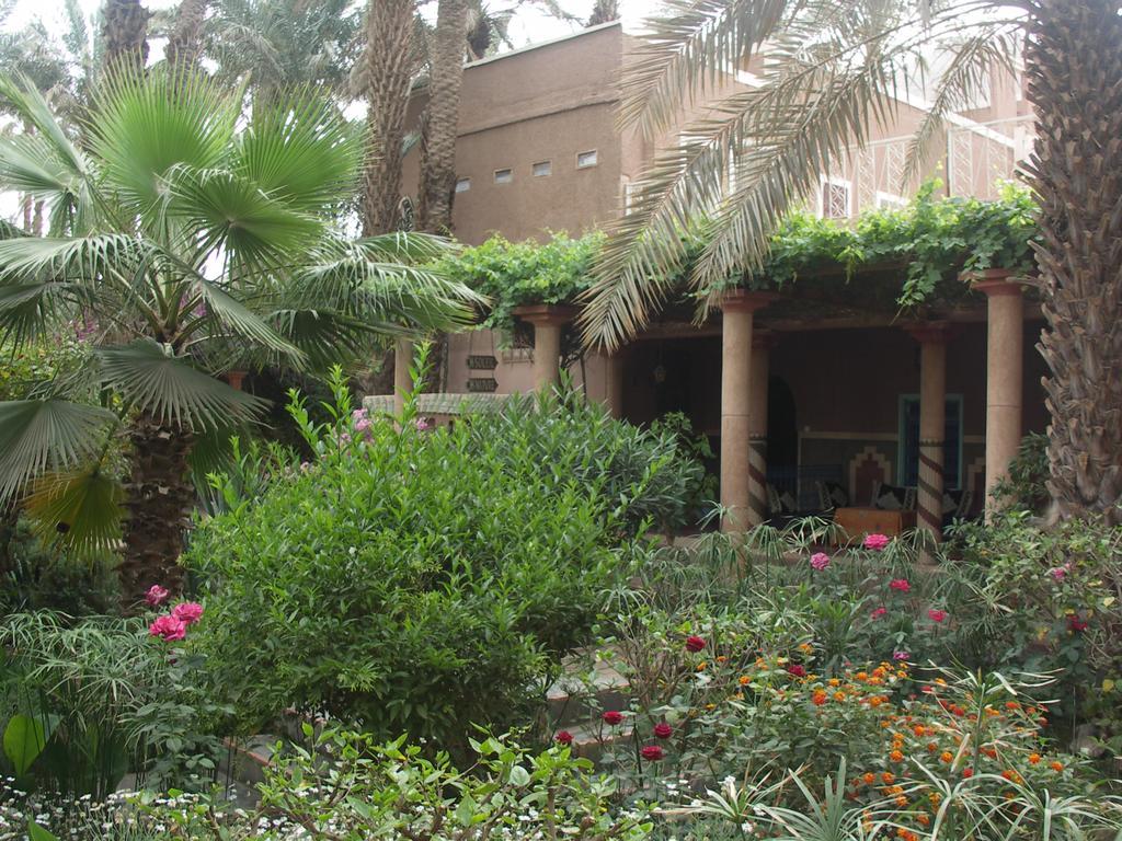 Fibule Du Draa Kasbah D'Hotes Zagora Exterior photo